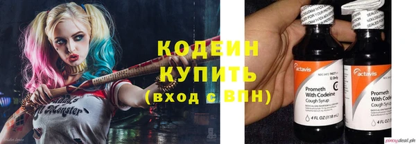 спайс Няндома
