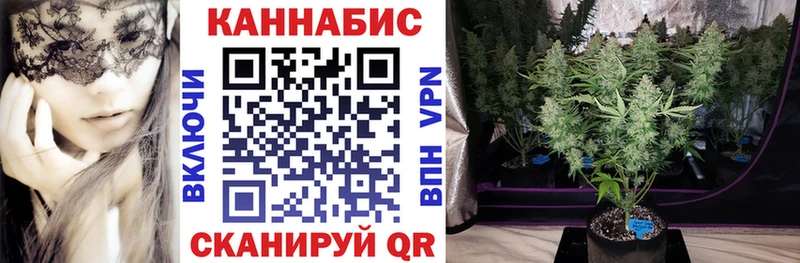 Марихуана SATIVA & INDICA  Новоузенск 